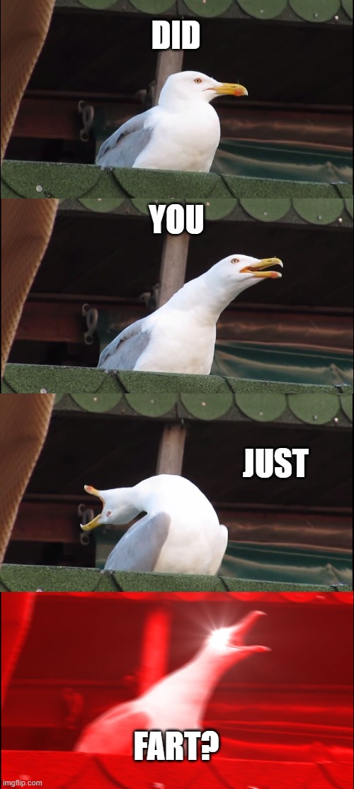 Inhaling Seagull Meme | DID; YOU; JUST; FART? | image tagged in memes,inhaling seagull | made w/ Imgflip meme maker