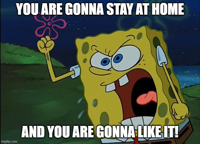 Spongebob's Order | YOU ARE GONNA STAY AT HOME; AND YOU ARE GONNA LIKE IT! | image tagged in you are gonna like it,spongebob,memes,covid-19,coronavirus | made w/ Imgflip meme maker