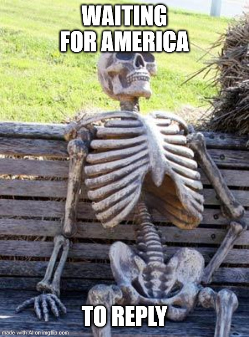 america, why | WAITING FOR AMERICA; TO REPLY | image tagged in memes,waiting skeleton | made w/ Imgflip meme maker