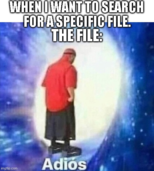 Adios | WHEN I WANT TO SEARCH FOR A SPECIFIC FILE. THE FILE: | image tagged in adios | made w/ Imgflip meme maker