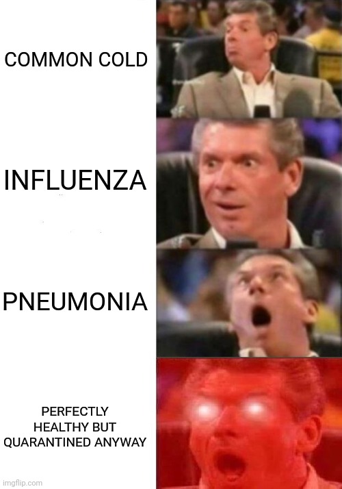Healthy irony | COMMON COLD; INFLUENZA; PNEUMONIA; PERFECTLY HEALTHY BUT QUARANTINED ANYWAY | image tagged in mr mcmahon reaction,sick,quarantine,health,fun,dark humor | made w/ Imgflip meme maker