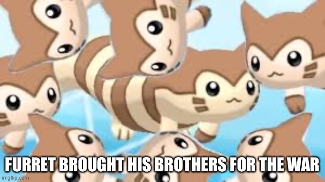 FURRET BROUGHT HIS BROTHERS FOR THE WAR | made w/ Imgflip meme maker