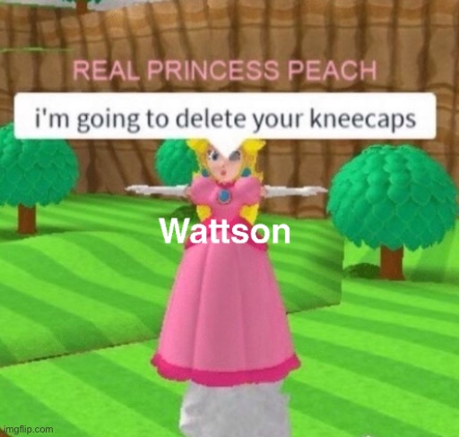 Roblox peach | image tagged in roblox peach | made w/ Imgflip meme maker