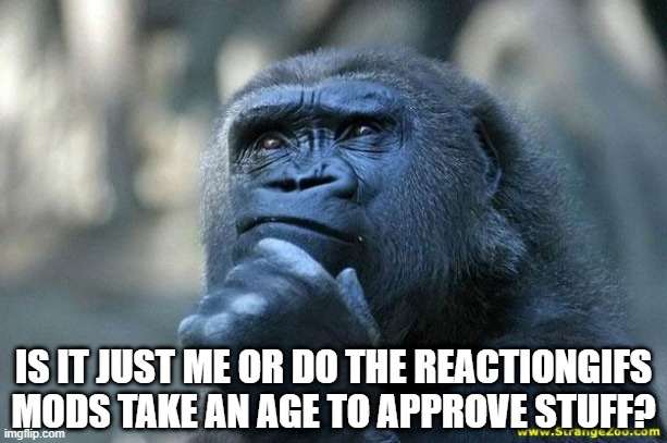 Time Time Ticking | IS IT JUST ME OR DO THE REACTIONGIFS MODS TAKE AN AGE TO APPROVE STUFF? | image tagged in deep thoughts | made w/ Imgflip meme maker