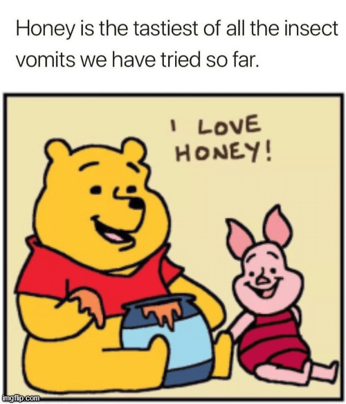 So yummy | image tagged in upset pooh,honey,vomit | made w/ Imgflip meme maker