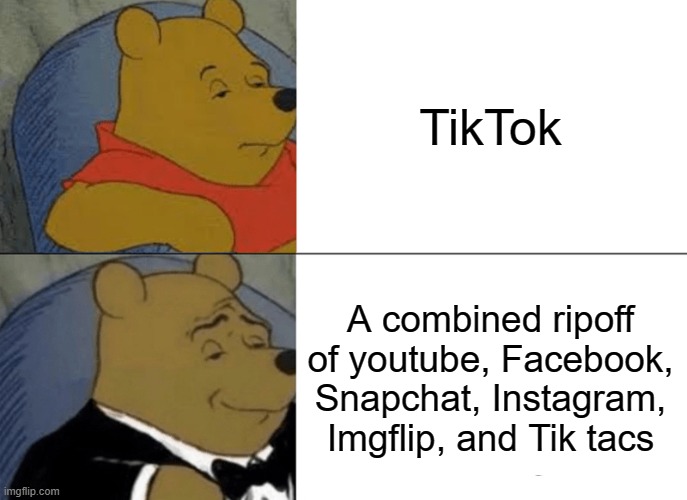 Da ripoff | TikTok; A combined ripoff of youtube, Facebook, Snapchat, Instagram, Imgflip, and Tik tacs | image tagged in memes,tuxedo winnie the pooh | made w/ Imgflip meme maker