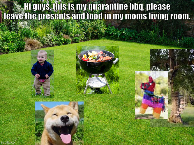 Happy doggo | Hi guys, this is my quarantine bbq, please leave the presents and food in my moms living room. | image tagged in doggo | made w/ Imgflip meme maker