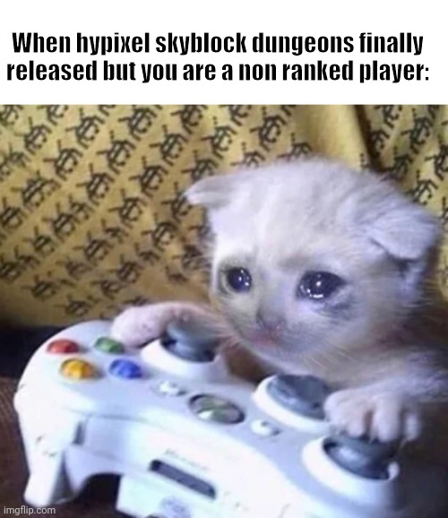 rip hypixel non ranked players | When hypixel skyblock dungeons finally released but you are a non ranked player: | image tagged in sad gaming cat | made w/ Imgflip meme maker