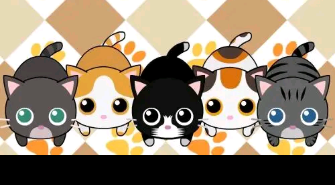 Kitty Cats! Blank Template - Imgflip