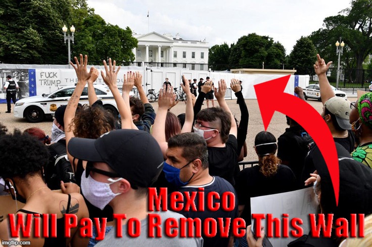 The Wall Protecting The White House | image tagged in protestors,white house,wall,mexico | made w/ Imgflip meme maker