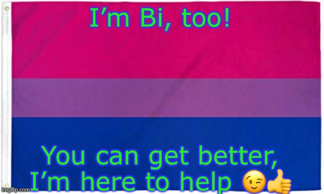 Bisexual Flag | I’m Bi, too! You can get better, I’m here to help ?? | image tagged in bisexual flag | made w/ Imgflip meme maker