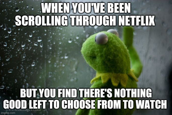 That's today's Netflix for u | WHEN YOU'VE BEEN SCROLLING THROUGH NETFLIX; BUT YOU FIND THERE'S NOTHING GOOD LEFT TO CHOOSE FROM TO WATCH | image tagged in kermit window,memes,netflix | made w/ Imgflip meme maker