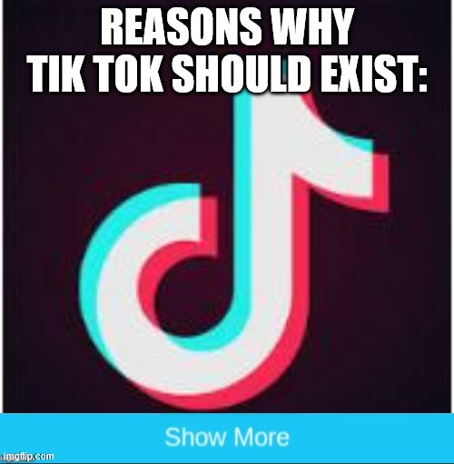 Tik Tok | REASONS WHY TIK TOK SHOULD EXIST: | image tagged in tik tok | made w/ Imgflip meme maker