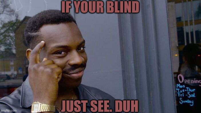 Roll Safe Think About It Meme | IF YOUR BLIND; JUST SEE. DUH | image tagged in memes,roll safe think about it | made w/ Imgflip meme maker