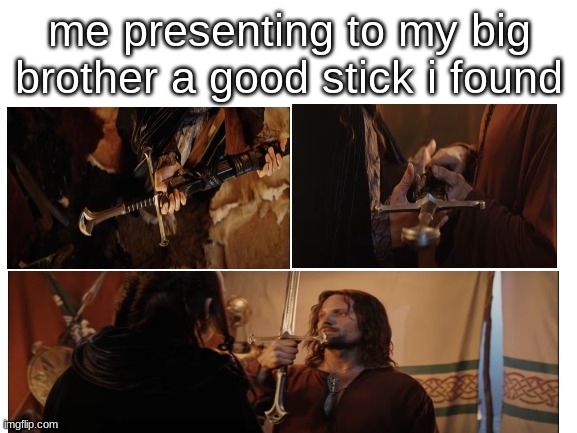 a worthy stick | me presenting to my big brother a good stick i found | image tagged in lord of the rings,funny meme | made w/ Imgflip meme maker