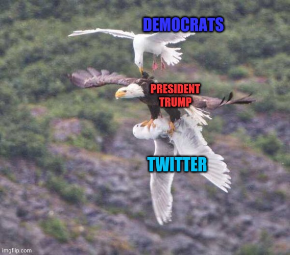 DEMOCRATS PICKING ON TRUMP FOR TAKING ON TWITTER | DEMOCRATS; PRESIDENT TRUMP; TWITTER | image tagged in president trump,twitter,democrats | made w/ Imgflip meme maker