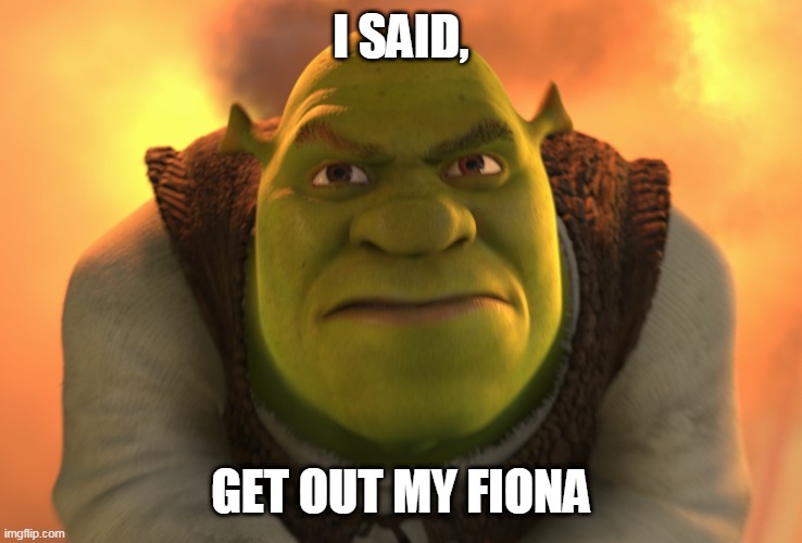 Angry Shrek | I SAID, GET OUT MY FIONA | image tagged in angry shrek | made w/ Imgflip meme maker
