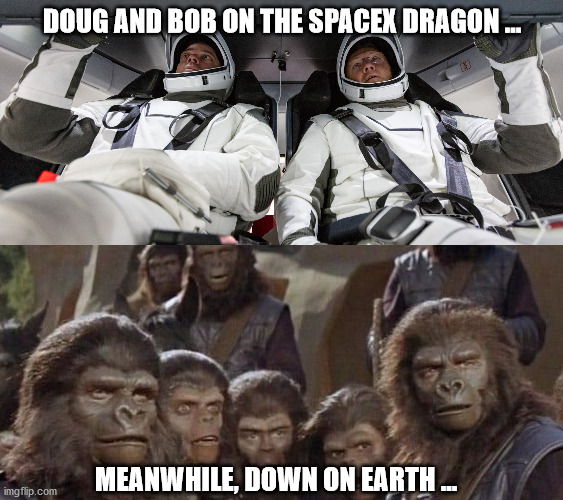 SpaceX Dragon and Apes | DOUG AND BOB ON THE SPACEX DRAGON ... MEANWHILE, DOWN ON EARTH ... | image tagged in funny memes | made w/ Imgflip meme maker