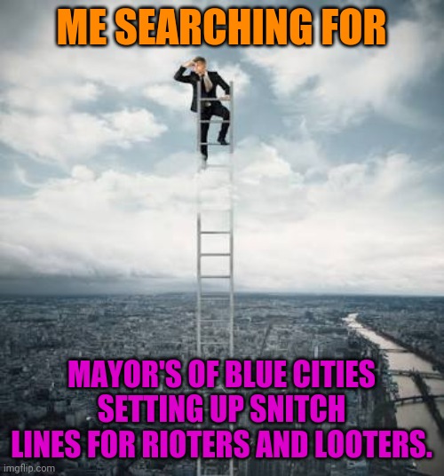 Democrats Had No Problem With Snitch Lines For People Who Don't Socially Distance | ME SEARCHING FOR; MAYOR'S OF BLUE CITIES SETTING UP SNITCH LINES FOR RIOTERS AND LOOTERS. | image tagged in searching for,liberal logic,stupid liberals,liberal hypocrisy,politics,riots | made w/ Imgflip meme maker