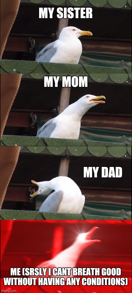 Inhaling Seagull Meme | MY SISTER; MY MOM; MY DAD; ME (SRSLY I CANT BREATH GOOD WITHOUT HAVING ANY CONDITIONS) | image tagged in memes,inhaling seagull | made w/ Imgflip meme maker