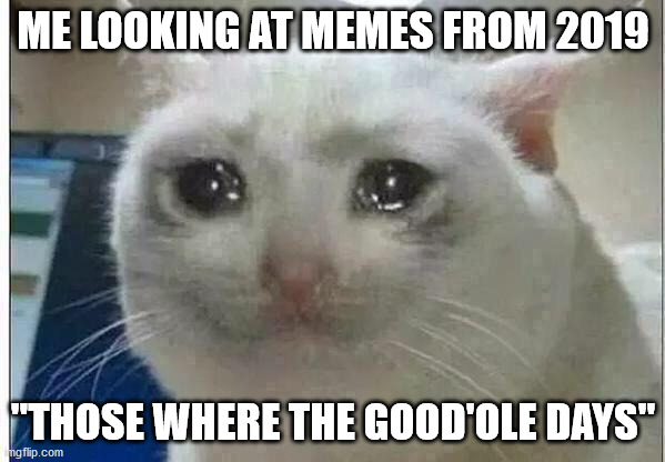 crying cat | ME LOOKING AT MEMES FROM 2019; "THOSE WHERE THE GOOD'OLE DAYS" | image tagged in crying cat | made w/ Imgflip meme maker