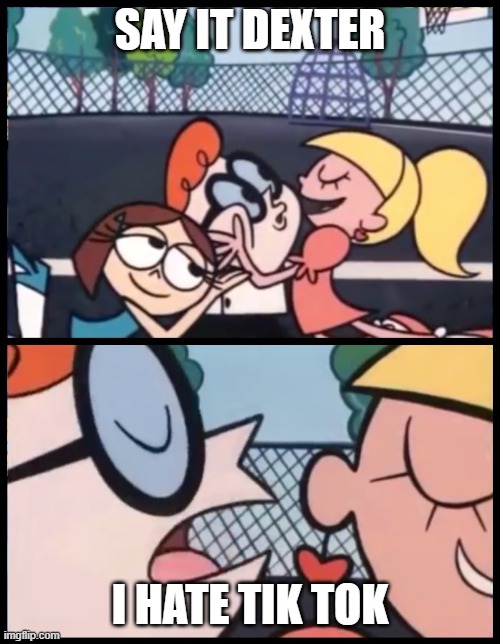 Say it Again, Dexter | SAY IT DEXTER; I HATE TIK TOK | image tagged in memes,say it again dexter | made w/ Imgflip meme maker