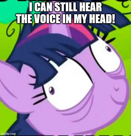 Twilight Sparkle crazy | I CAN STILL HEAR THE VOICE IN MY HEAD! | image tagged in twilight sparkle crazy | made w/ Imgflip meme maker