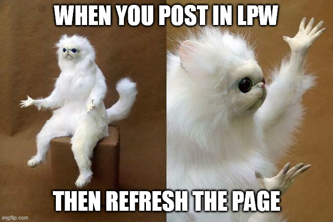 LPW TaxiCat | WHEN YOU POST IN LPW; THEN REFRESH THE PAGE | image tagged in taxidermy cat | made w/ Imgflip meme maker