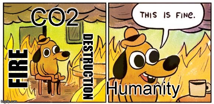 This Is Fine | CO2; DESTRUCTION; FIRE; Humanity | image tagged in memes,this is fine | made w/ Imgflip meme maker