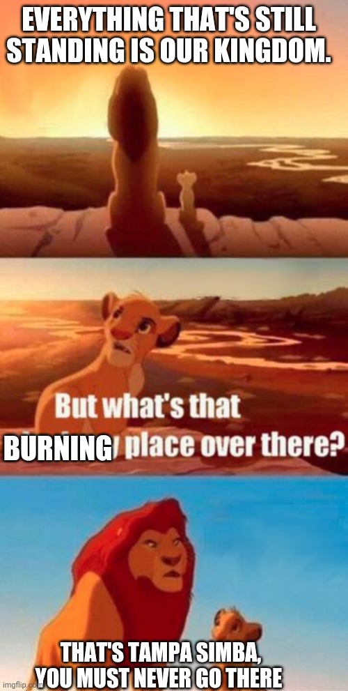 lion king light touches shadowy place kek | EVERYTHING THAT'S STILL STANDING IS OUR KINGDOM. BURNING; THAT'S TAMPA SIMBA, YOU MUST NEVER GO THERE | image tagged in lion king light touches shadowy place kek | made w/ Imgflip meme maker