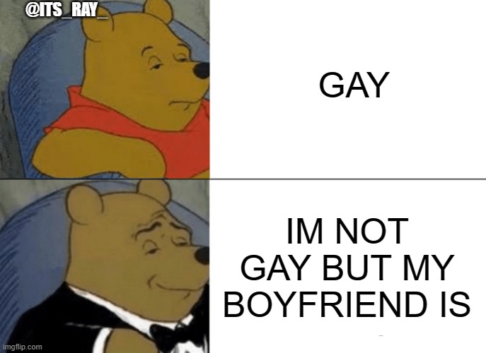 when you are a girl and your girl friend is gay | GAY; @ITS_RAY_; IM NOT GAY BUT MY BOYFRIEND IS | image tagged in memes,tuxedo winnie the pooh | made w/ Imgflip meme maker