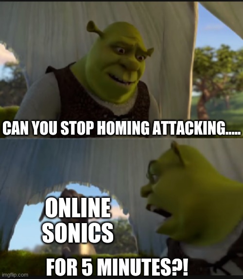 Online Sonic in Smash | CAN YOU STOP HOMING ATTACKING..... ONLINE SONICS; FOR 5 MINUTES?! | image tagged in can you stop talking | made w/ Imgflip meme maker