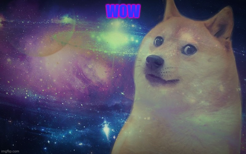 doge space | WOW | image tagged in doge space | made w/ Imgflip meme maker