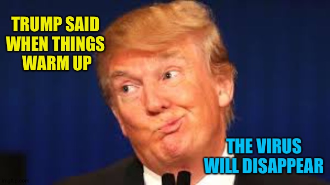 Stupid Trump | TRUMP SAID 
WHEN THINGS 
WARM UP THE VIRUS WILL DISAPPEAR | image tagged in stupid trump | made w/ Imgflip meme maker