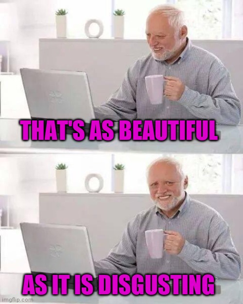 Hide the Pain Harold Meme | THAT'S AS BEAUTIFUL AS IT IS DISGUSTING | image tagged in memes,hide the pain harold | made w/ Imgflip meme maker