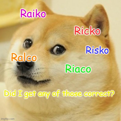 Doge Meme | Raiko; Ricko; Risko; Ralco; Riaco; Did I get any of those correct? | image tagged in memes,doge | made w/ Imgflip meme maker