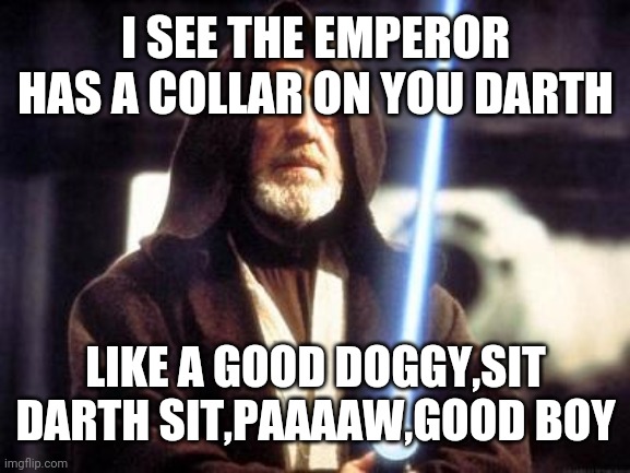 Star Wars Force | I SEE THE EMPEROR HAS A COLLAR ON YOU DARTH; LIKE A GOOD DOGGY,SIT DARTH SIT,PAAAAW,GOOD BOY | image tagged in star wars force | made w/ Imgflip meme maker