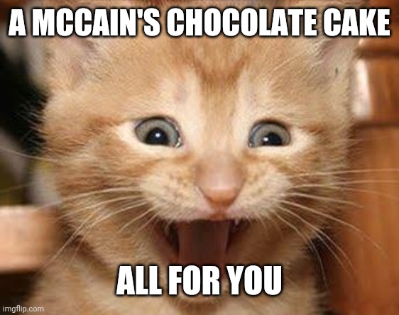 Excited Cat Meme | A MCCAIN'S CHOCOLATE CAKE; ALL FOR YOU | image tagged in memes,excited cat | made w/ Imgflip meme maker