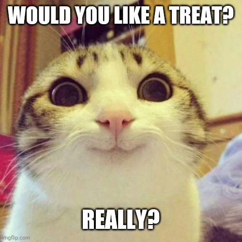 Smiling Cat Meme | WOULD YOU LIKE A TREAT? REALLY? | image tagged in memes,smiling cat | made w/ Imgflip meme maker