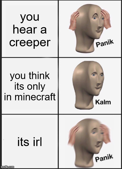 PANIC | you hear a creeper; you think its only in minecraft; its irl | image tagged in memes,panik kalm panik,minecraft | made w/ Imgflip meme maker