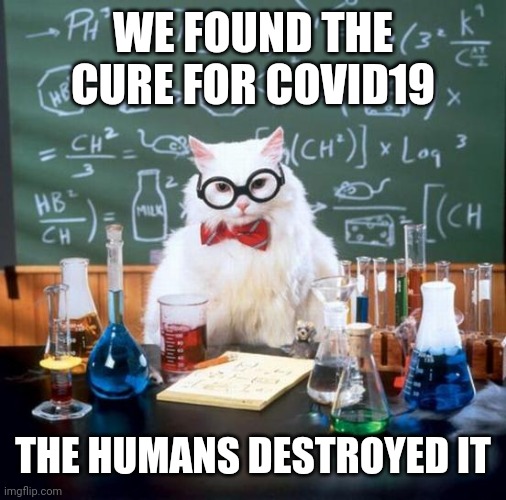 Chemistry Cat Meme | WE FOUND THE CURE FOR COVID19; THE HUMANS DESTROYED IT | image tagged in memes,chemistry cat | made w/ Imgflip meme maker