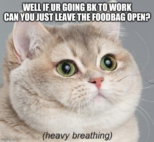 Heavy Breathing Cat Meme | WELL IF UR GOING BK TO WORK CAN YOU JUST LEAVE THE FOODBAG OPEN? | image tagged in memes,heavy breathing cat | made w/ Imgflip meme maker