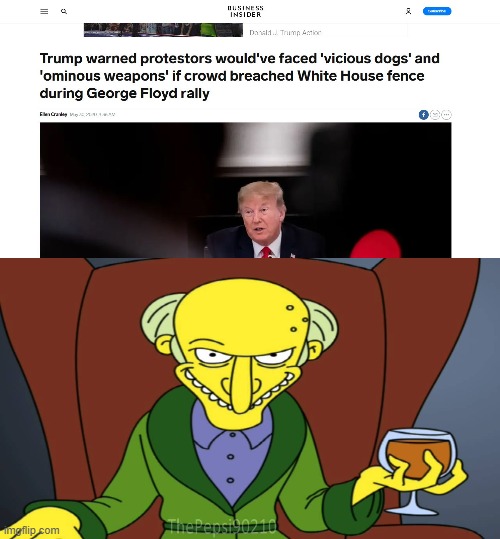 Jared, release the hounds | image tagged in memes,politics,donald trump is an idiot,maga,mr burns | made w/ Imgflip meme maker