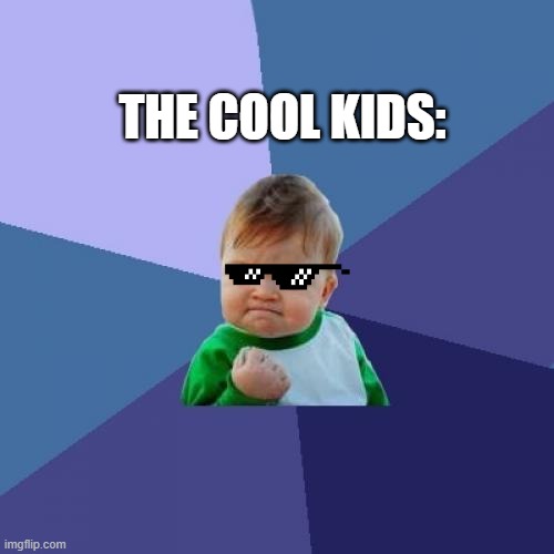 Success Kid Meme | THE COOL KIDS: | image tagged in memes,success kid | made w/ Imgflip meme maker