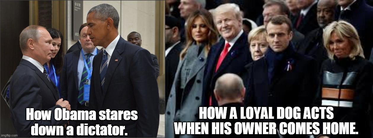 Man and a pet | HOW A LOYAL DOG ACTS WHEN HIS OWNER COMES HOME. How Obama stares down a dictator. | image tagged in obama putin,trump putin | made w/ Imgflip meme maker