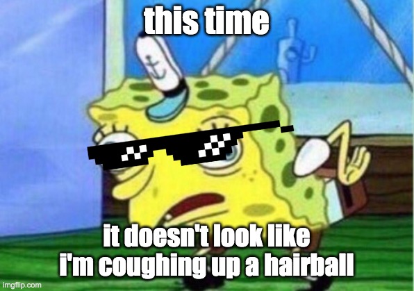 smort kitty | this time; it doesn't look like i'm coughing up a hairball | image tagged in memes,mocking spongebob | made w/ Imgflip meme maker