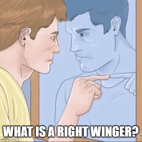 Pointing mirror guy | WHAT IS A RIGHT WINGER? | image tagged in pointing mirror guy | made w/ Imgflip meme maker