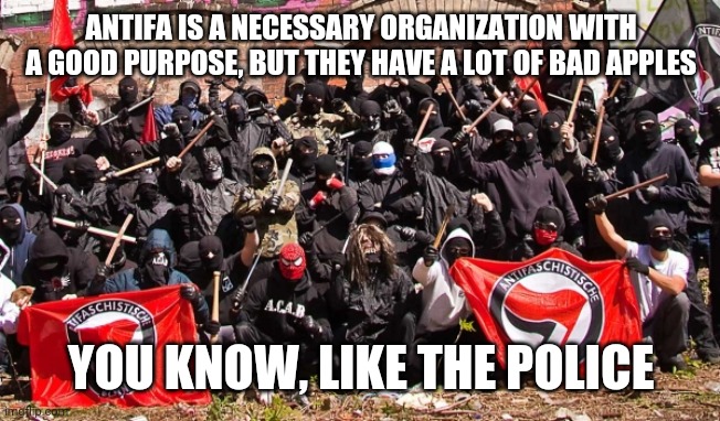 Antifa | ANTIFA IS A NECESSARY ORGANIZATION WITH A GOOD PURPOSE, BUT THEY HAVE A LOT OF BAD APPLES; YOU KNOW, LIKE THE POLICE | image tagged in antifa | made w/ Imgflip meme maker