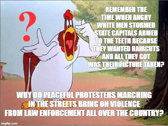 What the heck? | ? REMEMBER THE TIME WHEN ANGRY WHITE MEN STORMED STATE CAPITALS ARMED TO THE TEETH BECAUSE THEY WANTED HAIRCUTS AND ALL THEY GOT WAS THEIR PICTURE TAKEN? WHY DO PEACEFUL PROTESTERS MARCHING IN THE STREETS BRING ON VIOLENCE FROM LAW ENFORCEMENT ALL OVER THE COUNTRY? | image tagged in foghorn leghorn | made w/ Imgflip meme maker