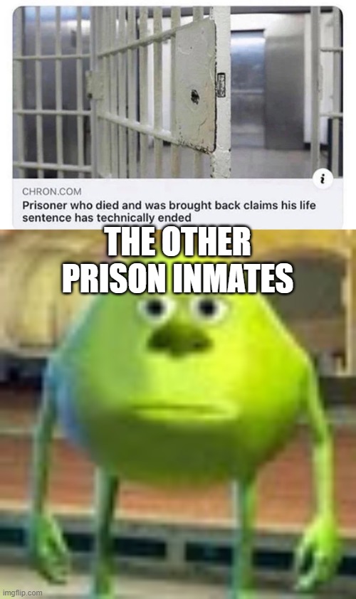 He's not wrong | THE OTHER PRISON INMATES | image tagged in sully wazowski,memes,funny,prison,mike wazowski | made w/ Imgflip meme maker